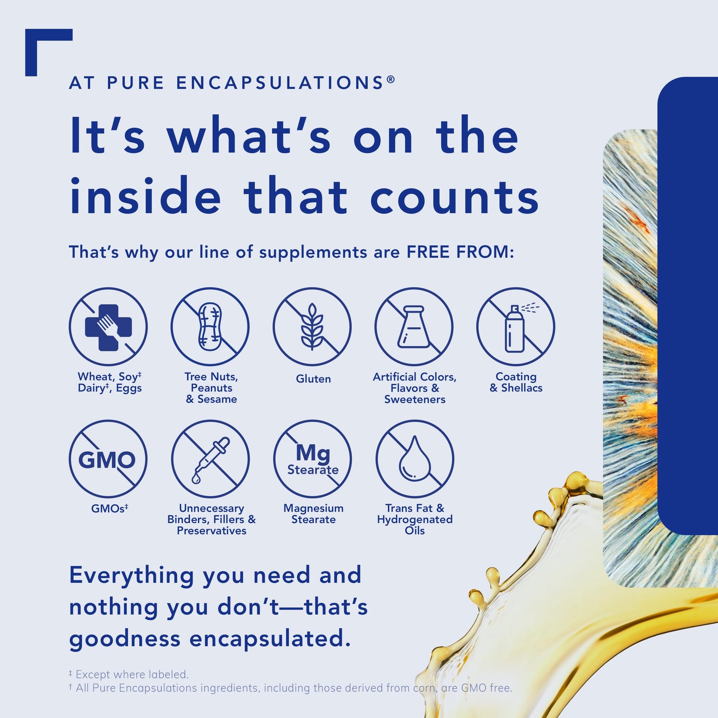 Pure Encapsulations DHEA 5 mg - Immune Support & Hormones Balance* - Micronized DHEA - Gluten Free & Vegan - 60 Capsules