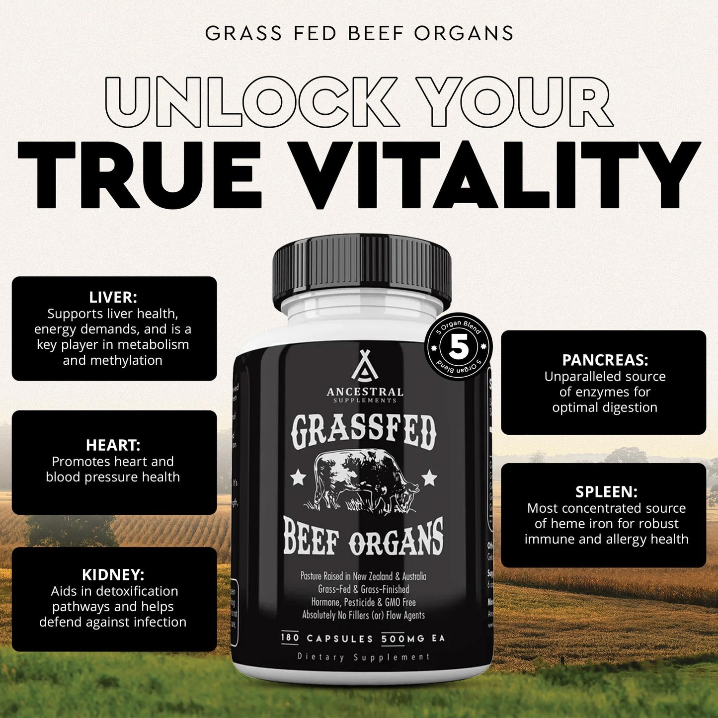 Beef Organ Supplement for Women – Supports Hormone Balance, Energy & Wellness – Grass Fed, Pasture Raised Superfood – Liver, Heart, Kidney, Bone Marrow – Collagen, CoQ10, B12 – Female Support Blend