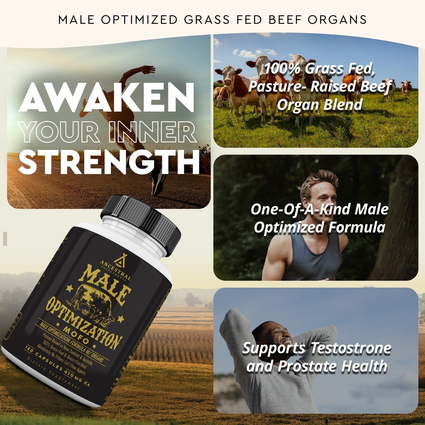 Beef Organ Supplement for Women – Supports Hormone Balance, Energy & Wellness – Grass Fed, Pasture Raised Superfood – Liver, Heart, Kidney, Bone Marrow – Collagen, CoQ10, B12 – Female Support Blend
